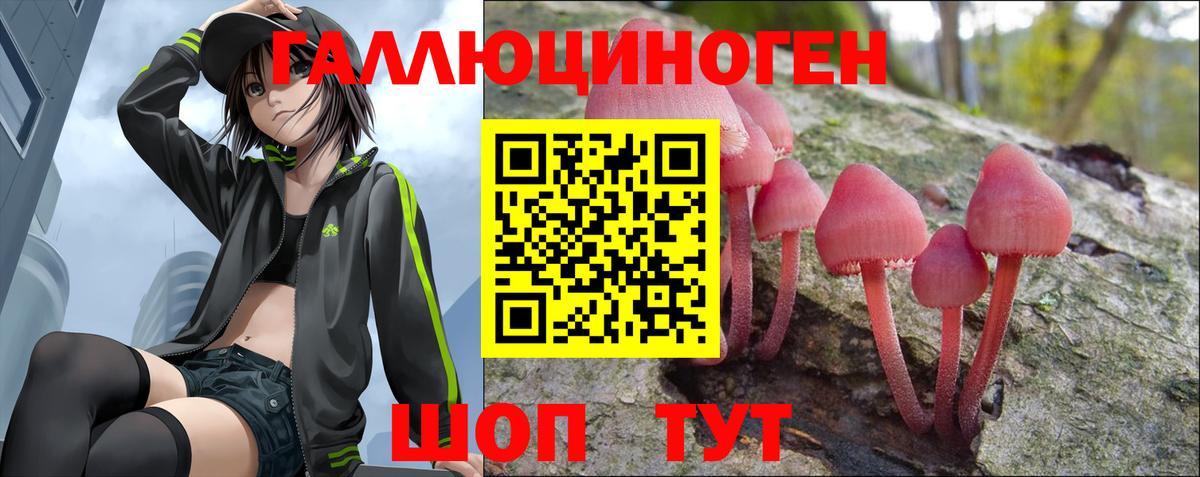 Киселёвск  Галлюциногенные грибы Magic Shrooms  Вход с VPN  Галлюциногенные грибы MAGIC MUSHROOMS 